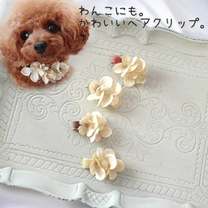 あみぐるみ わんこヘアクリップピン （あみぐるみかぎ針編みパターン  