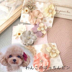  i` ybg ANZT[ hbO   wAs L ybg 񂿂 ObY y3{Zbg GNAixEt@ubNt[EVr[`[̂ςs