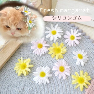  { S wAANZT[y2Zbg tbV}[KbghbOwASz^ ^ `  gCv[h  F sN zCg i` fCW[ ybgp