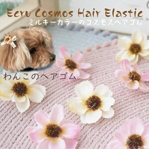  { S wAANZT[y2Zbg ~L[RXX VRhbOwASz^ ^ ` [NV[eA  gCv[h  ~j`A_bNX  