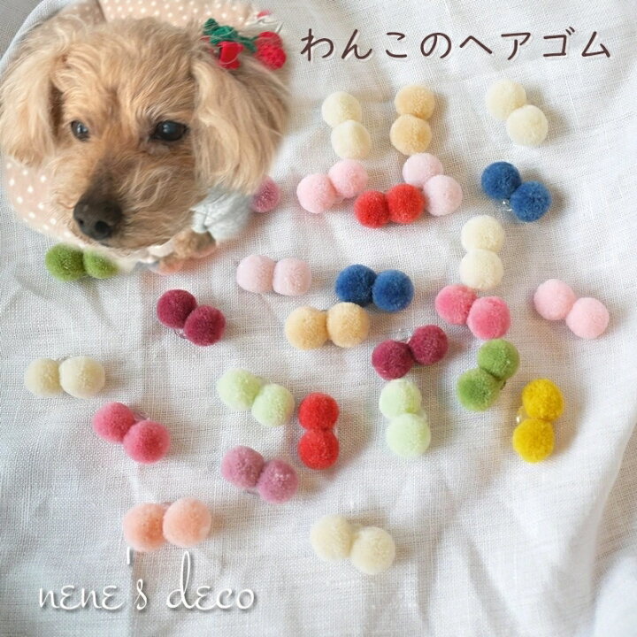 楽天市場】犬 ゴム ドッグ ヘアアクセサリー 小型犬 大型犬 チワワ 