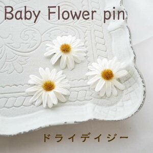 q wAs  xr[ wAANZ  Ԃ pb` LbY V O yhCfCW[t[R[sz wAANZT[  qǂ c wAANZ ςs 