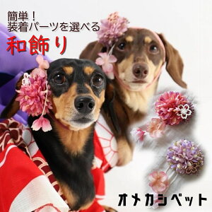   a {   wAs e eB[JbvgCv[h wANbv y݃}Ɣdaz  vX`bNob^ hbOANZT[ Xq ߑ a  yb