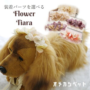  eBA Ԋ wAoh ԏ ob^ R[s  ^ ^ ̎q Xq yhCAix Ԋwbhohz {   ߂ ybgp ObY wA