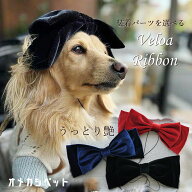 犬 ベロア りぼん 黒 赤 ネイビー ヘアバンド 帽子 バレッタ ひなまつり わんこ 衣装 着物 【ベロアりぼ…