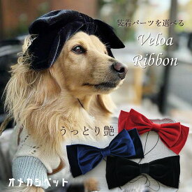 犬 ベロア りぼん 黒 赤 ネイビー ヘアバンド 帽子 バレッタ ひなまつり わんこ 衣装 着物 【ベロアりぼんヘッドアクセサリー】 ベロアリボン おめかし ペット用 犬 ヘアアクセサリー ビックリボン ドッグ 犬服 ベルベット お誕生日 撮影会 犬服 ねこ 全犬種 うちの子