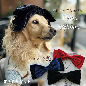  xA ڂ   lCr[ wAoh Xq ob^ ЂȂ܂  ߑ  yxAڂwbhANZT[z xA{ ߂ ybgp  wAANZT[ rbN