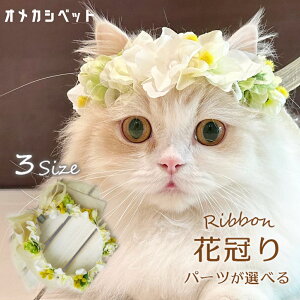  Ԃނ  ~U   Xq S ߑ  hbO ANZT[ y3TCY ~UƃO[zbv̉Ԋz ڂ U hX ps[ Ԕ o  wAAN