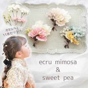 ܎O   wAANZT[ 3 7 w mimosa w \ yGN~U&XC[gs[wA[h 11{Zbgz Ǝ LbY a 񂴂  ̎q Be  wAs 
