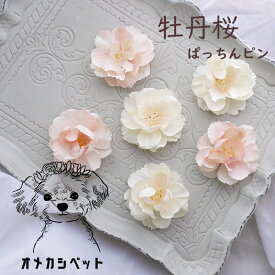犬 帽子 ヘアアクセ 花 桜 犬服 飾り ぱっちん 小型犬 超小型犬 チワワ 頭飾り 【ブンブン取れないふんわり色牡丹桜のヘアピン】 全犬種 インスタ cat アクセサリー dog イヌ パッチン留め マルチーズ パピー 軽量 トリミング お花見 トイプー 猫 ペット用 わんちゃん お散歩