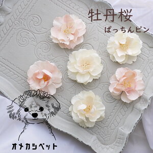  Xq wAANZ     ς ^ ^ `  yuuȂӂFÕwAsz S CX^ cat ANZT[ dog Ck pb` }
