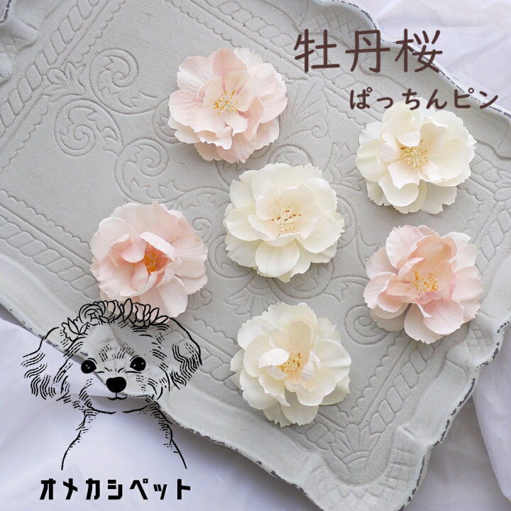 犬 アクセサリー 春 春のガーベラアクセセット セット品 アクセ 来れる 