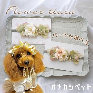   Ԋ wAoh ԏ  ^ ^ ob^   ynChWA|Jt[C[Y t[eBAz Xq ybgp  L ObY wAANZT