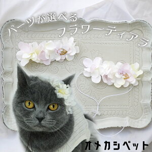   Ԋ wAoh Xq ybgp  L ObY ԏ    ڂ yzԂƃS[h[t t[eBAz wAANZT[ ps[  hbOA