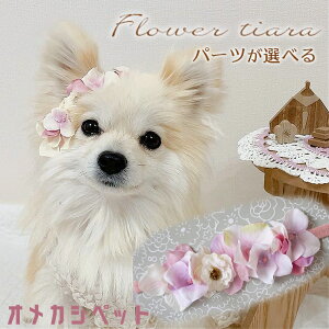  Xq  S ybg Ԍ  a Be  ̎q  y݃sÑtH_Aix t[eBAz  [NV[eA v[h ps M_