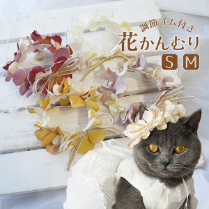  Ԋ  i` ObY wAANZT[ hbOANZT[  Xq y2TCY4J[ }eB[NAixl{Ԋz   ybgp a B