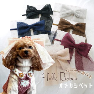  {  Xq `[J[ ybg hbO wANbv ob^  y݃J[̃hbg`[{ANZT[z R[s hbOANZ ` gCv[h L yb