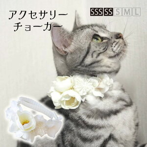  L Ԋ`[J[ ԏySSS`SSTCY tbVۂۂ񃍁[YƃnChWA ԊANZT[`[J[z ˂ ^ ^ [NV[eA v[h `