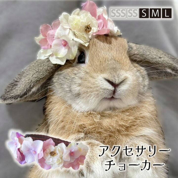 楽天市場】うさぎ 花冠チョーカー 花飾り【S〜Lサイズ くすみピンクの 