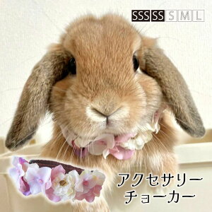  L Ԋ`[J[ ԏySSS`SSTCY ݃sÑtH_AixԊ ANZT[`[J[z ˂ ^ ^ [NV[eA v[h ybgp 