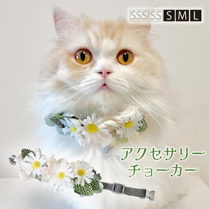  Ԋ`[J[ ԏyS`LTCY Fresh Mint&DaisyԊ ANZT[`[J[z 傫߂˂ ^ ^ [NV[eA v[h ps  ~j`A_bN