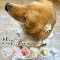 ヘアアクセサリー 適正犬種ゴールデン レトリバー 犬用品 ペット・ペットグッズ の通販