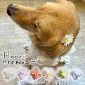 ybg ANZT[ yuuȂAixR[szF  cat hbO ANZ  a y wAANZ { R[^ pb` wAs ς ^ ^