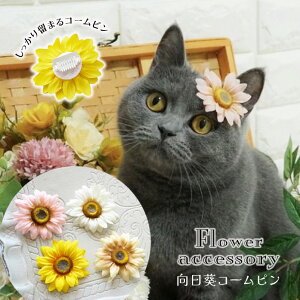   {   ANZ Ȃ ȒP ς V yuuȂЂ܂̃t[R[sz R[^ pb` wAs L ^ ^ ` ȒP gCv[h