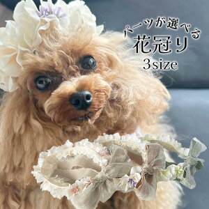 Ԋ  Xq  ^ ڂ ^  a   y3TCY ݃{Ԋz dog pet L ˂ OhbO wAANZT[ ps[ e 킢  a Be