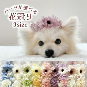  ڂ Ԃނ { L ybg ^ ^ ^ ^@y3TCY Allƃ}̃t[K[fԊz ` [NV[eA gCv[h wAANZT[ 