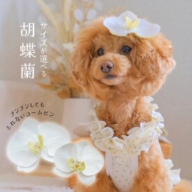 犬 耳飾り 胡蝶蘭 ぱっちんピン 帽子 ドッグ 結婚式 犬服 ウエディング 花嫁 ヘアピン イヌ 【純白胡蝶蘭のコームぱっちんピン】 ドッグアクセサリー 全犬種 チワワ ドッグウェア 猫 ペット用 わんちゃん 髪飾り アクセサリー 犬グッズ ねこ わんこグラフィー わんフォト