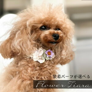    ANZ Ȃ ȒPy݃x_[nChWAE}[Kbgt[eBAzdog  ^ ^ }`[Y ps[ y g~O o gCv[ ybgp 