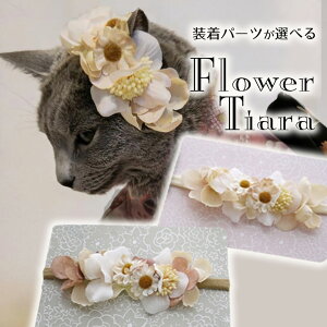  wAs eBA Ԋ wbhANZT[ s  ^ ^  lbNX  yhCfCW[&JAix t[eBAz v[h ps ob^ R[s