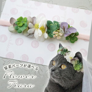  t[eBA ԏ hbO Ԋ q ps[ wAoh Xq  L  ^ yN[o[}[Kbg Ԋwbhohz  ^ ^ ps M_bNXt