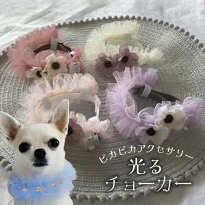   dC  ՂhbO ߑ  Ԋ S  EGfBO ps[ y҂҂`[`[J[ Allz  a Be  ybgp o ObY wA