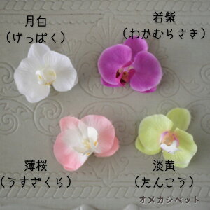    ςs  hbO   EGfBO ԉ wAs CkyuuȂN₩ӒR[sz CX^ cat ANZT[ OhbO Ck }`[