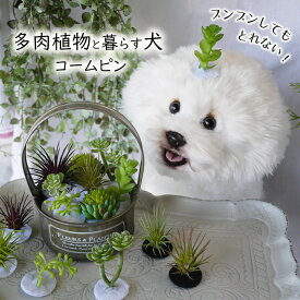 犬 多肉植物 ヘアピン 花 飾り ぱっちん 全犬種 うちの子 可愛い 頭飾り トトロ ピクミン 【ブンブン取れない多肉植物のコームピン】 アクセサリー dog パッチン留め マルチーズ パピー 軽量 トリミング お出かけ トイプー ペット用 わんちゃん 帽子 お散歩 小型犬