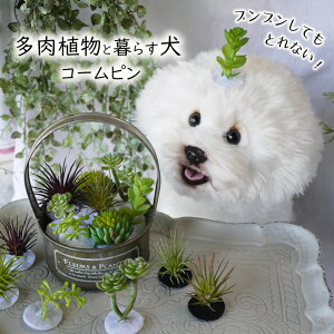  A wAs   ς S ̎q   gg sN~ yuuȂÃR[sz ANZT[ dog pb` }`[Y ps[ y 