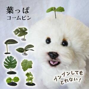  t wAs    ς S ̎q   gg sN~ yuuȂtς̃R[sz ANZT[ dog pb` }`[Y ps[ y