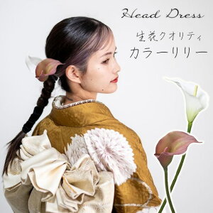    l l Ă΂ 񂴂 a     wAANZT[ i` UyԕJ[wbhhX iJ[[j zƎ w ܎O tFCN