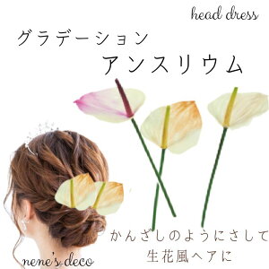 Ǝ   l Ă΂ 񂴂 a     wAANZT[ i` UyԕwbhhX iOf[VAXEj zn[tAbv w 