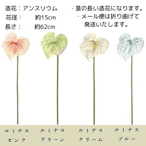 Ǝ   l Ă΂ 񂴂 a     wAANZT[ i` UyԕwbhhX i~iXAXEj zJ`wA w ܎O tF