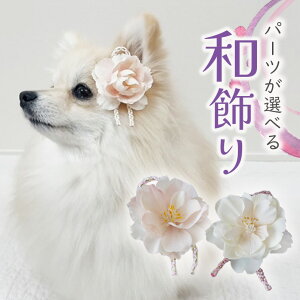  a wAANZ    Ԍ   ς ЂȂ܂ ^ ^ `  ygRƂڂ̘az S CX^ cat ANZT[ dog Ck pb` }