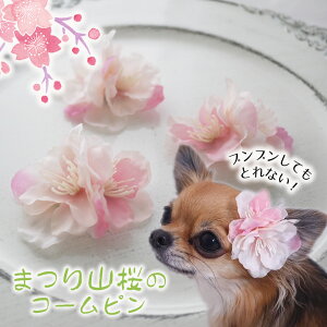    S q  Ԍ  ANZT[ yuuȂ ܂R̉؂₩R[sz  CX^ cat f dog ˂ Ck ̎q pb` ps[ y g~O 