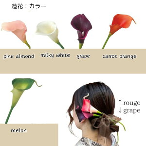    Ǝ  l  Ă΂ 񂴂 a U wAANZT[ i` w l w yA[eBtBVt[iJ[z753 ܎O tFCN ܎O