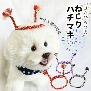 hbO  Xq Ԃ蕨 Ղ Cxg RXv   S    yՂn`}L Ȃ͂܂z hbOANZT[ ^ ^ hbOEFA  gCv[h 