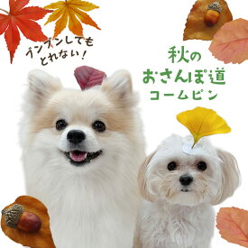 犬 秋 飾り 紅葉 ヘアピン どんぐり 木の実 犬服 飾り ぱっちん 全犬種 うちの子 可愛い 頭飾り ピクミン 【ブンブン取れない秋のおさんぽ道コームピン】 アクセサリー dog パッチン留め トリミング お出かけ トイプー ペット用 わんちゃん お散歩 小型犬 超小型犬