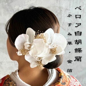 xA  Ӓ  wbhhX uC_  C   hCt[ yxAӒEݑE wA[hXz wAANZT[ a 񂴂 wA[h 