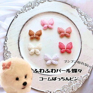   ANZ  hbO  ڂ `E R[s U  yuuȂ ӂӂp[XR[sz ̎q 傤 wAANZ Mtg ς ˂ Ȃ v[