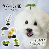 ブンブン取れない 葉っぱがぴょこん 犬用コームピン ヘアピン 犬 葉っぱ ヘアアクセサリー ぱっちん 軽量…